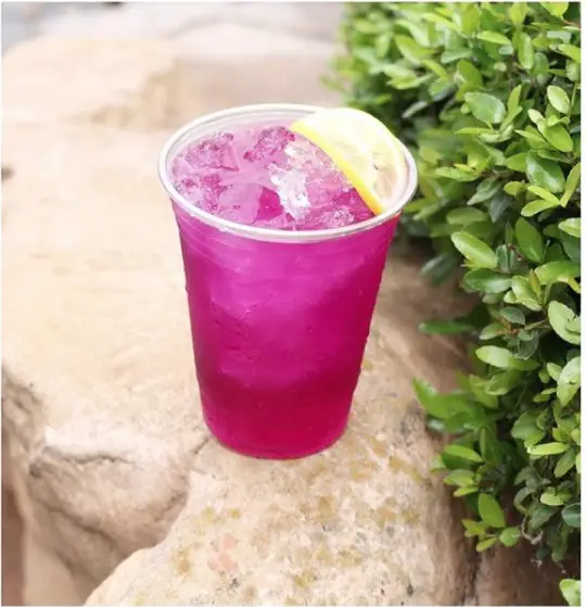 Skip the theme parks. Violet Sake is now available in Disney Springs!