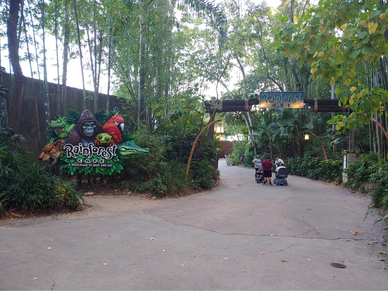 Animal Kingdom Rainforest Cafe Entrance is now open