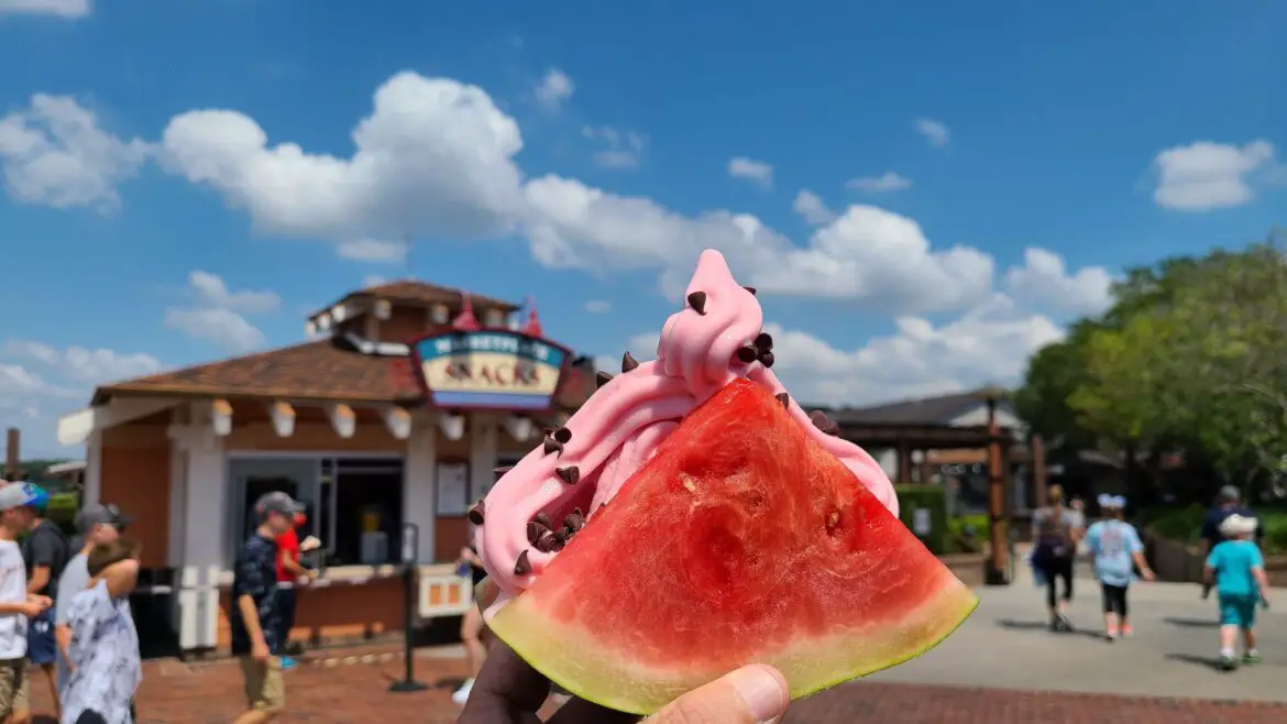 You must try this Watermelon Taco Dole Whip in Disney Springs