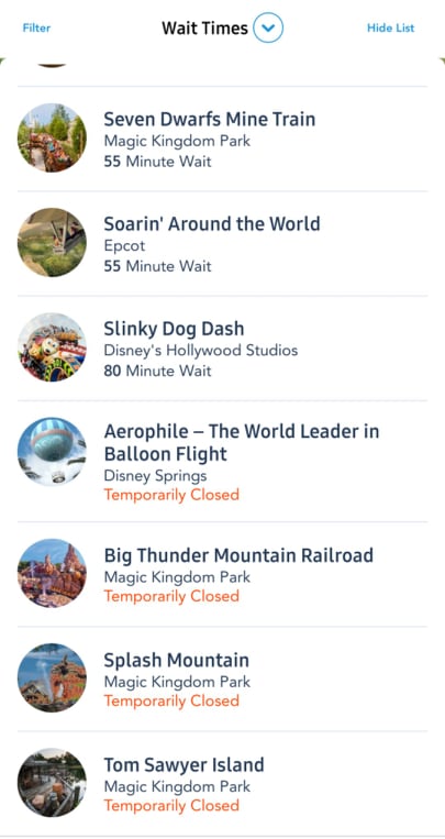 Storms shut down many Walt Disney World attractions