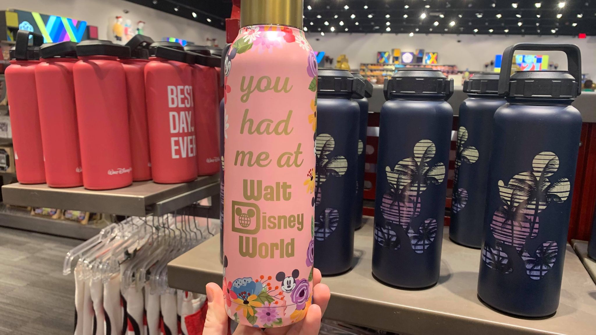 PHOTOS: New You Had Me At Walt Disney World Water Bottle Now Available -  WDW News Today