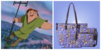 hunchback of notre dame dooney and bourke