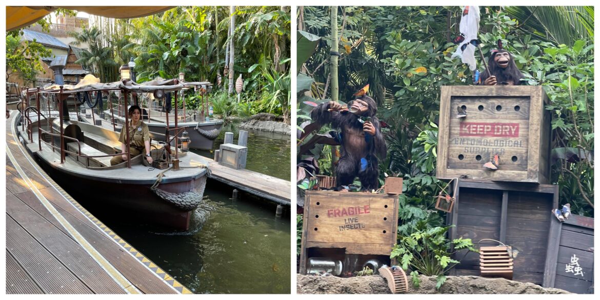 Take a voyage on the all new Jungle Cruise in Disneyland