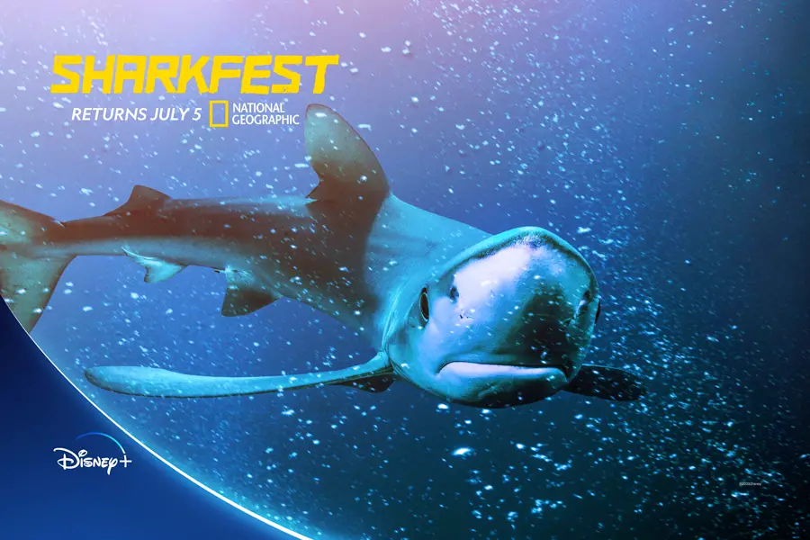 National Geographic’s SHARKFEST wall returns to Disney Springs