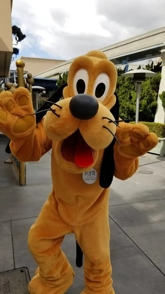 Pluto's Pumpkin Pursuit Scavenger Hunt coming to Downtown Disney