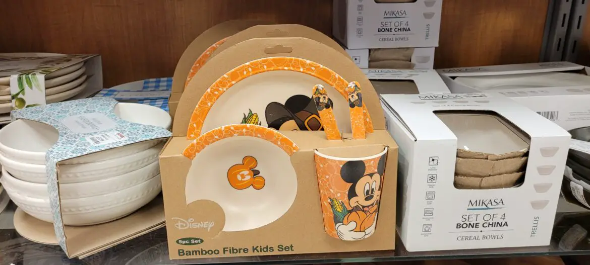 Disney Halloween Finds At Home Goods and TJ Maxx