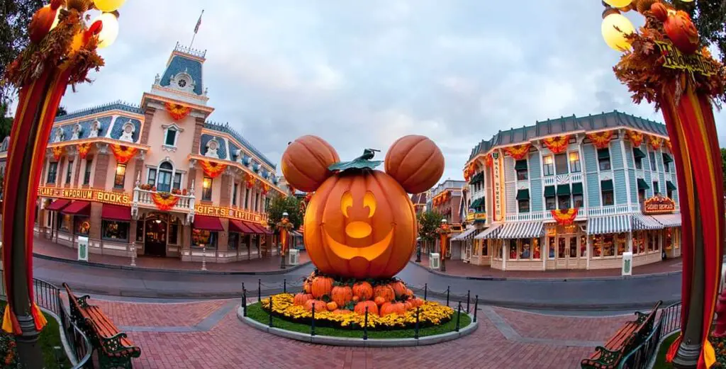The giant Mickey Pumpkin has arrived at Disneyland