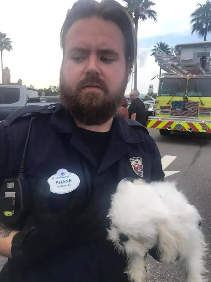 Dog left in hot car in Disney Parking Lot