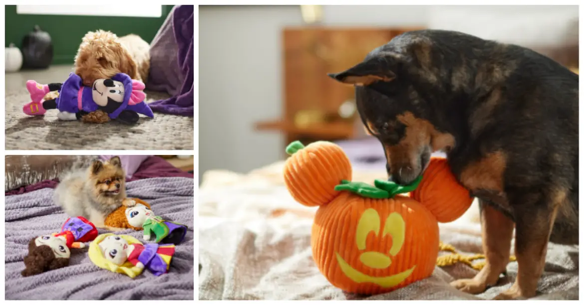 Disney Halloween Pet Toys Now At Chewy