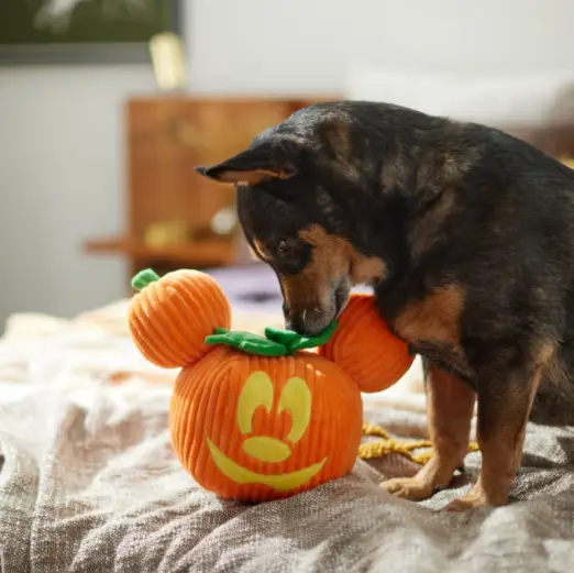 Disney Halloween Pet Toys Now At Chewy