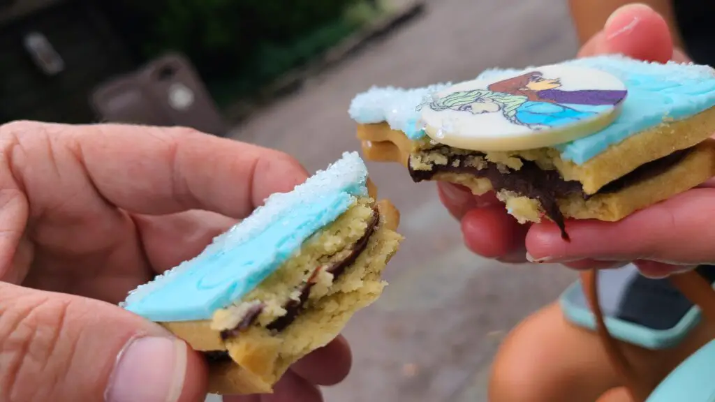 New Sisters Cookie Featuring Anna and Elsa at Epcot