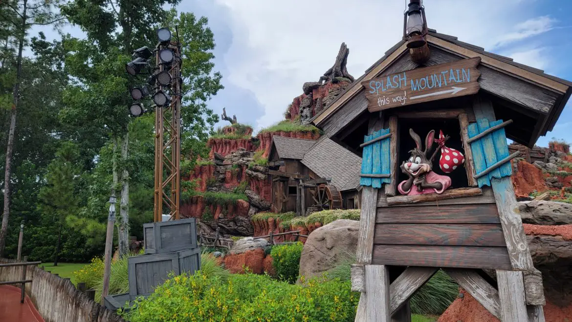 Scaffolding removed from Splash Mountain