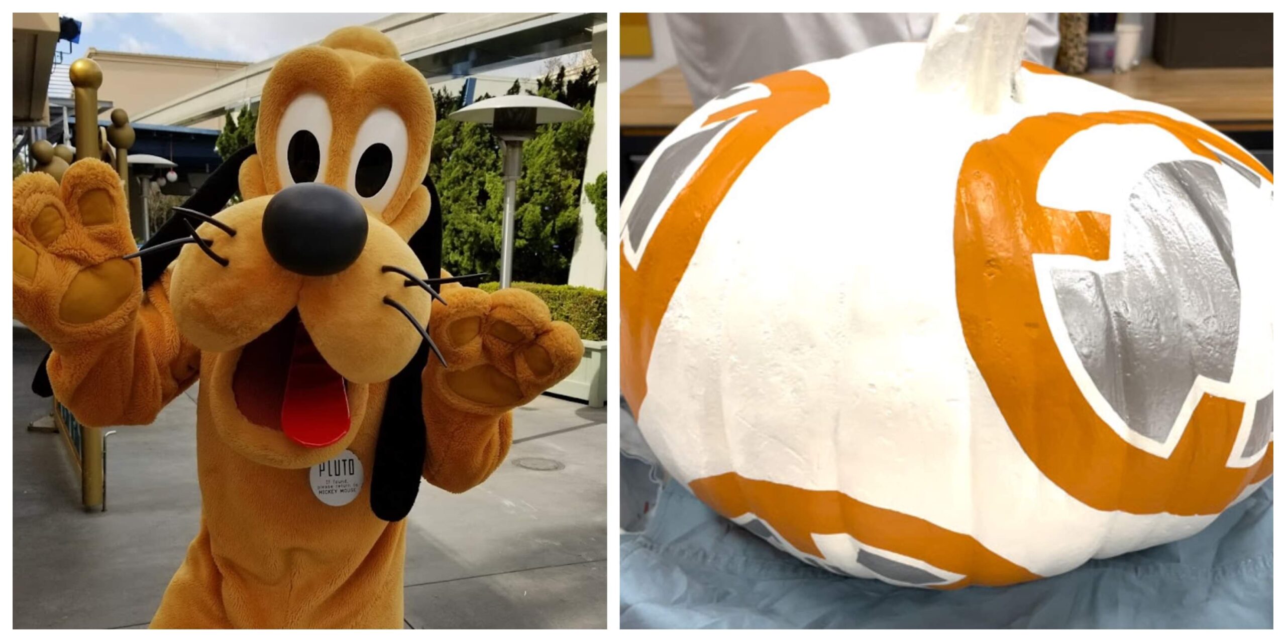 Behind the scenes of Pluto's Pumpkin Persuit scavenger hunt Chip and