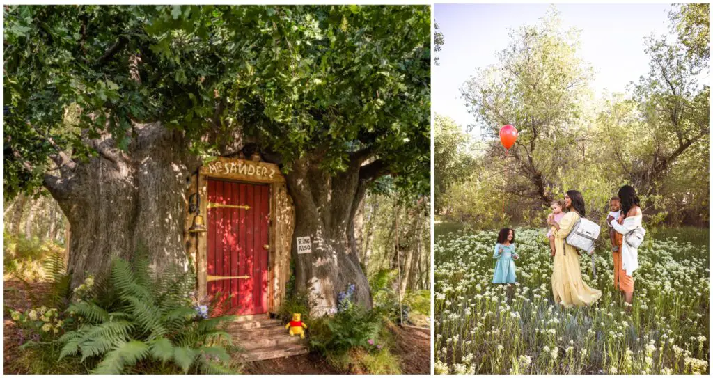 Stay at the Winnie the Pooh Inspired "Bearbnb" Location Brought to You By Disney and Airbnb