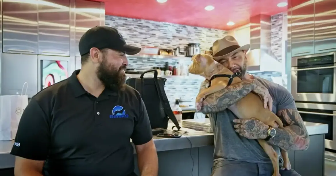 Dave Bautista Adopts Puppy from Humane Society and Offers Reward to Find Her Abuser