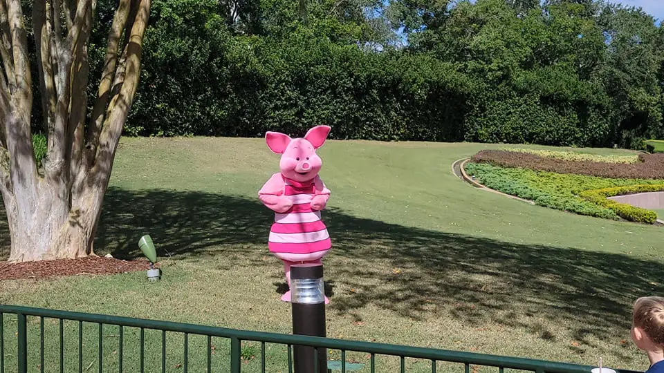 Piglet is once again greeting guests in Epcot