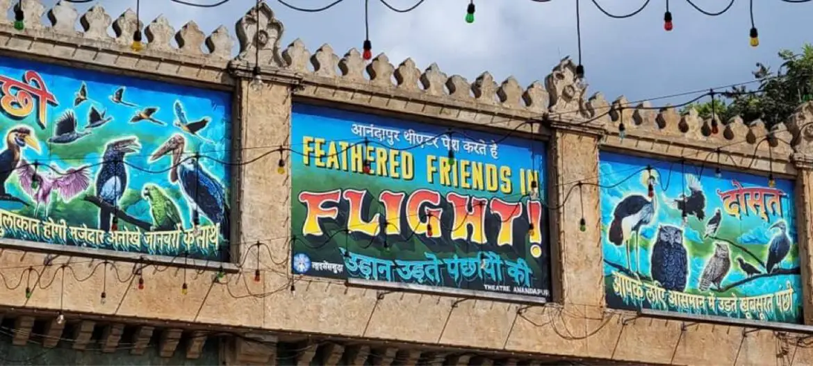 Feathered Friends in Flight Replaces “Up! A Great Bird Adventure” in Animal Kingdom