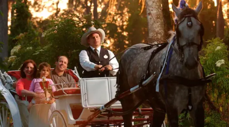 Disney World Horse Drawn Carriages Now Available for Reservation on My Disney Experience