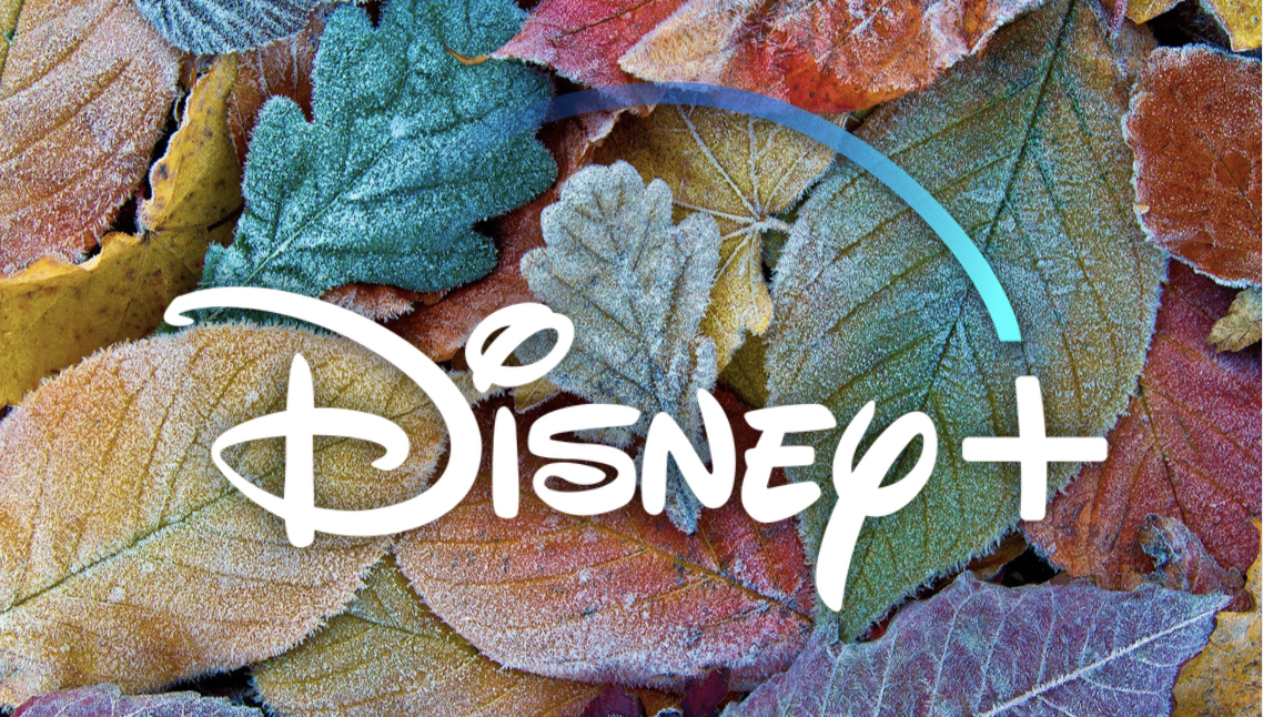 Everything Coming to Disney+ in November 2021