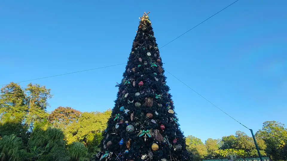 Christmas Tree and more decorations are up at Disney’s Animal Kingdom