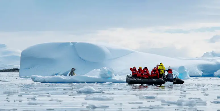 New Adventures by Disney Arctic expedition cruise