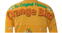 Orange Bird Spirit Jersey