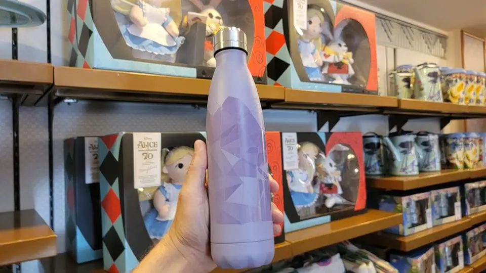 Picture Perfect Purple Wall Water Bottle!
