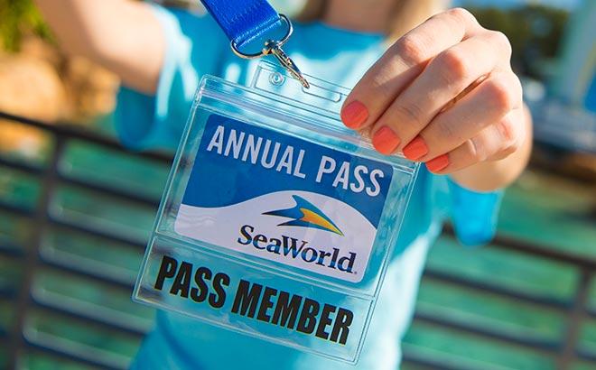 Seaworld Orlando Seven Seas Food Festival Returns on February 4th