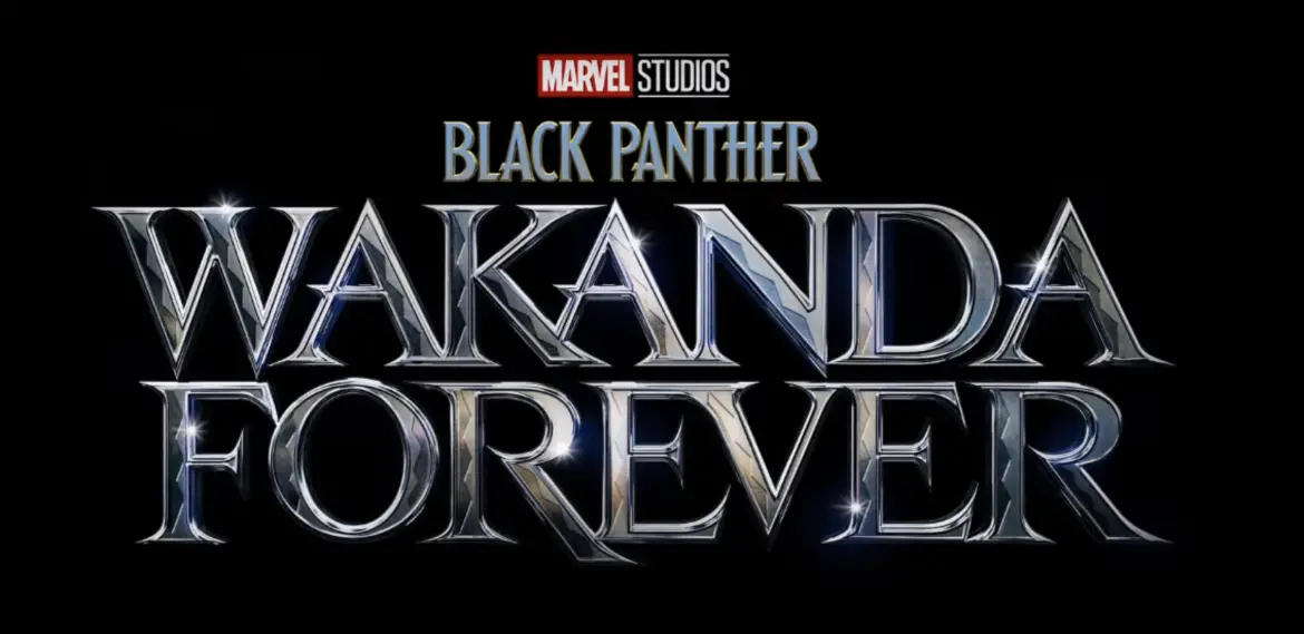 Black: Panther: Wakanda Forever Promo Art Hints at New Characters