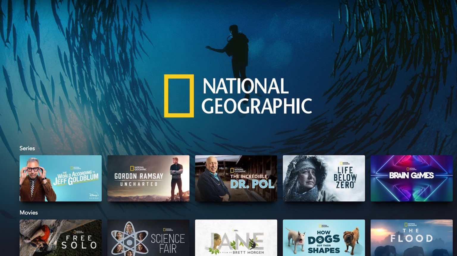 What to watch on National Geographic on Disney+