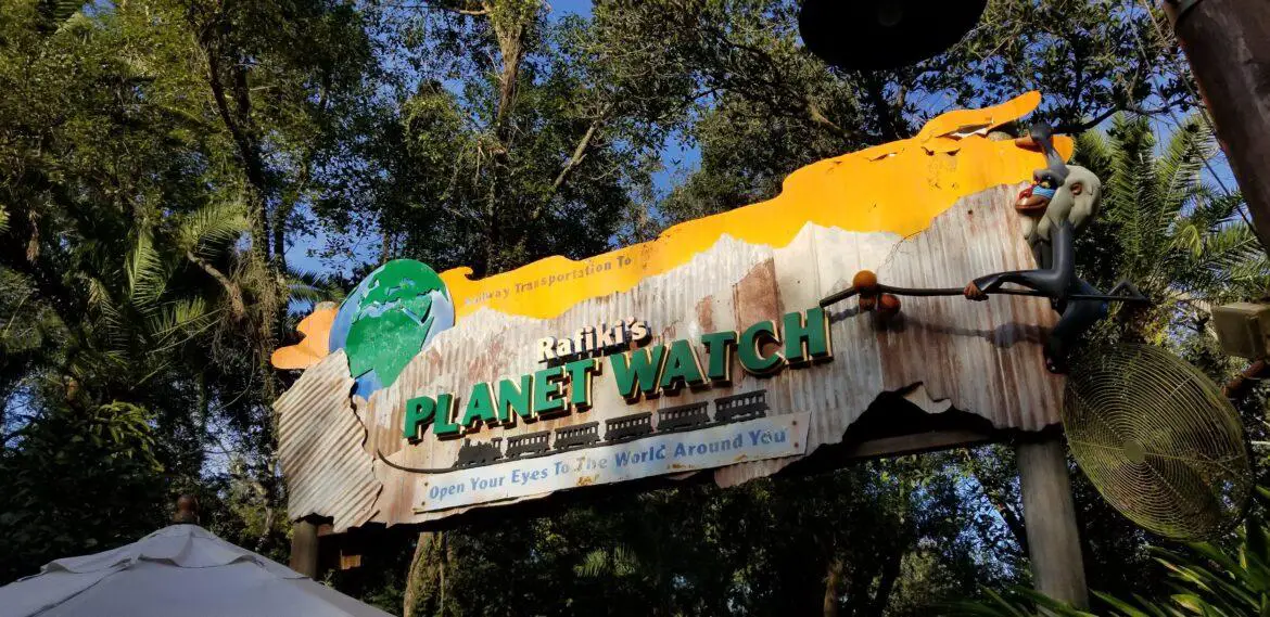 ‘Out of the Wild’ permanently closing at Rafiki’s Planet Watch