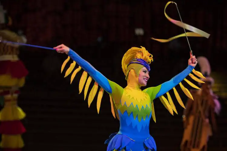 Birds to fly once again at Festival of the Lion King