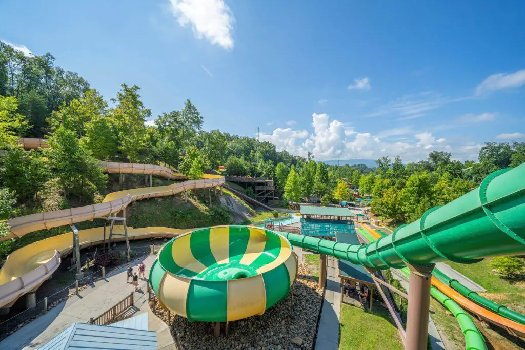 Dollywood Employees to Receive 100% Free Tuition