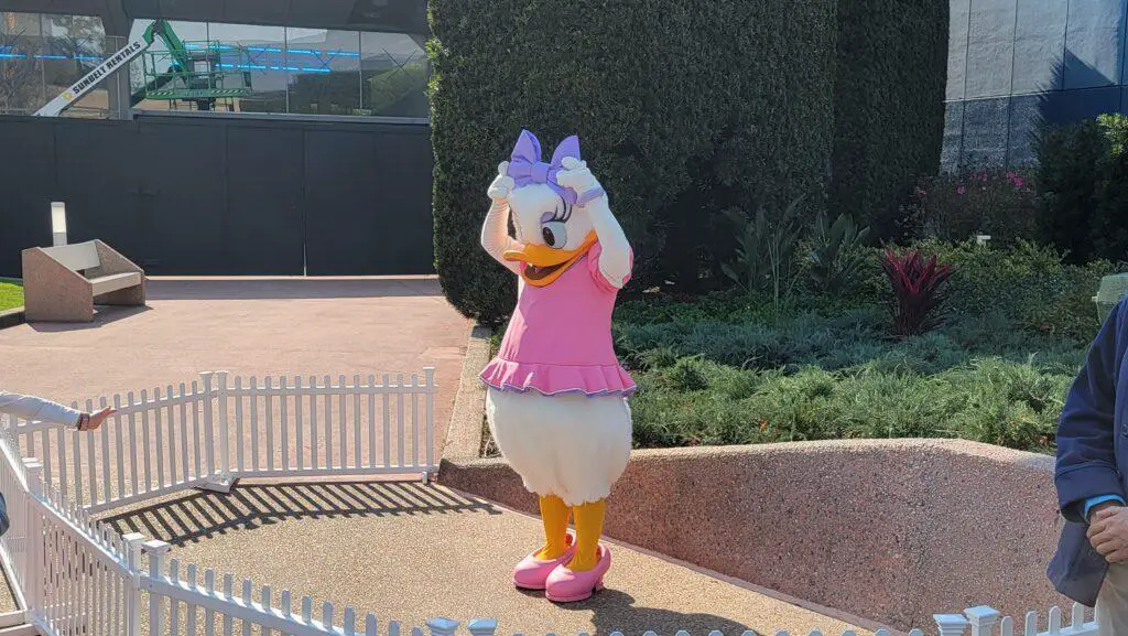 New Daisy Duck Meet