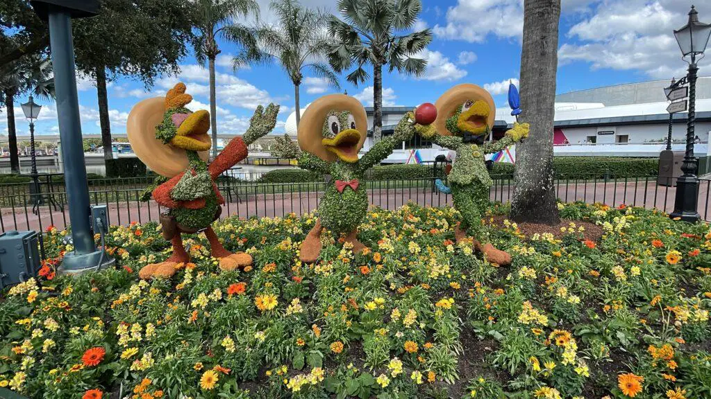 Figment and 3 Caballeros Topiaries on display just in time for the Epcot Flower and Garden Festival