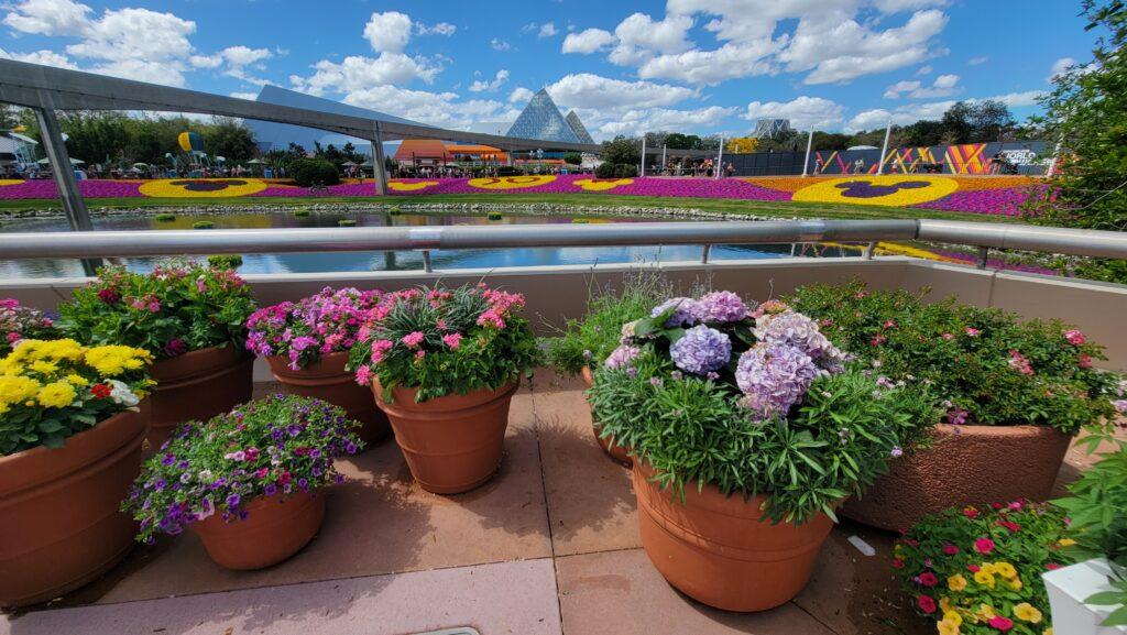 New Scentsy Blossoms of Fragrance Display in Epcot for Flower & Garden