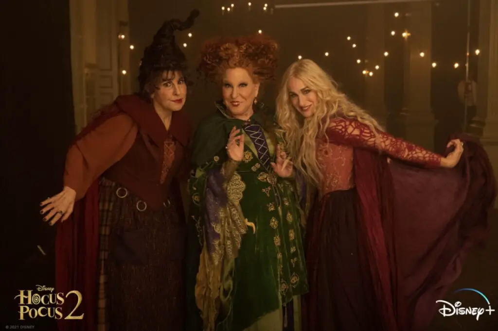 Thora Birch not returning for Hocus Pocus 2