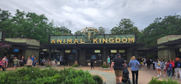 Entrance to Disney’s Animal Kingdom