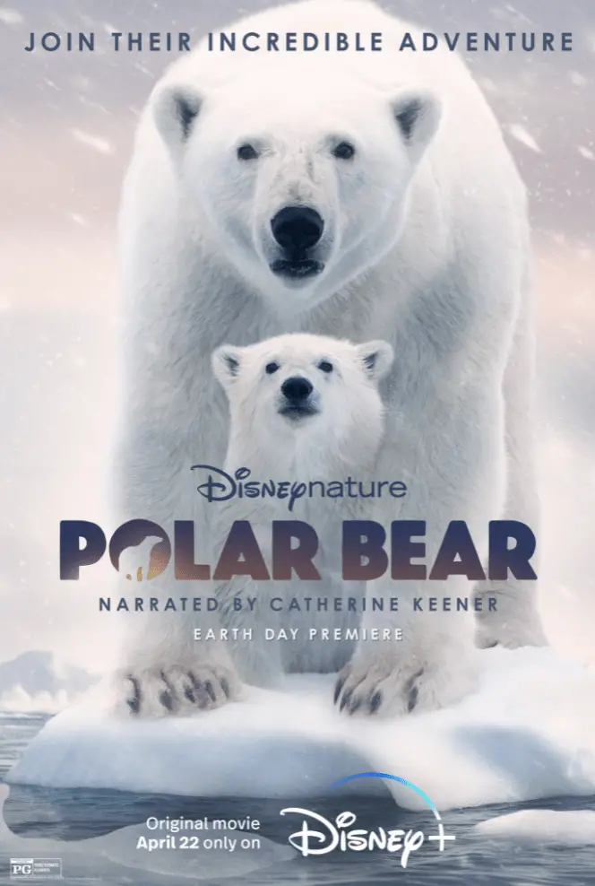 Disneynature's 'Polar Bear' Film is Coming to Disney+ on Earth Day