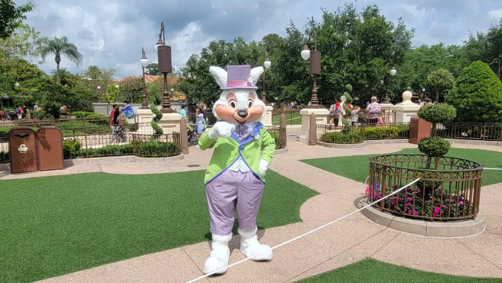 Bunny Greeting Guests