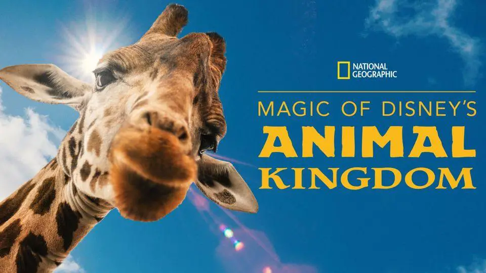 Filming is Under Way for Season 2 of 'Magic of Disney's Animal Kingdom' on Disney+