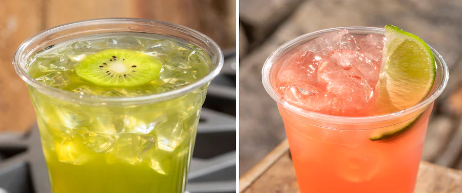 First look at Food & Drinks coming to Disney World for Earth Day 2022