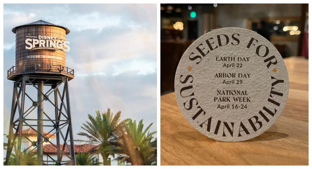 Disney Springs Restaurants offers guests eco-friendly, plantable drink coasters to take home