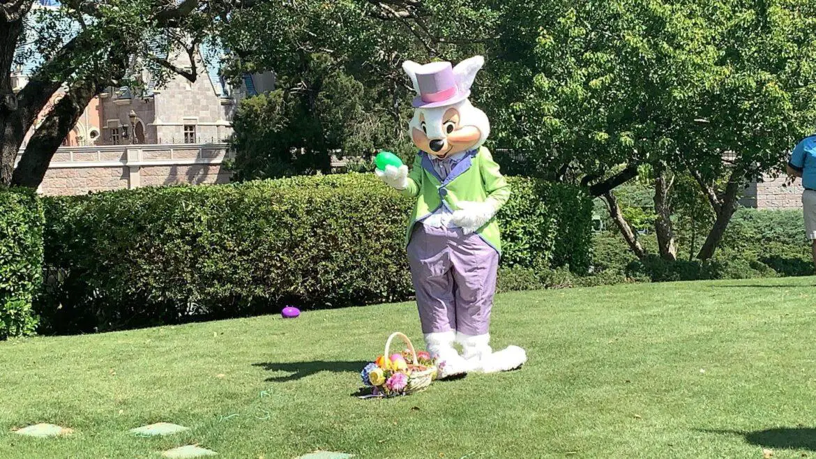 Socially Distanced Easter Bunny Meet & Greet returns to Magic Kingdom
