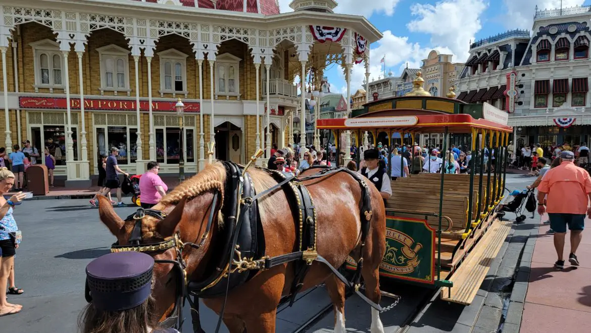 Main Street Transportation Horse Drawn Trolley returns to the Magic Kingdom