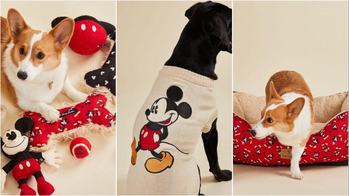 New Harry Barker Disney Collection For Your Furry Friends!