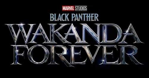 Bob Chapek Confirms Black Panther: Wakanda Forever Will Release This Year