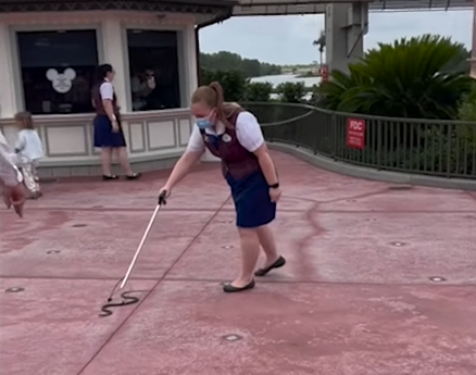 Video: Disney Cast Member wrangles a snake away from guests in the Magic Kingdom