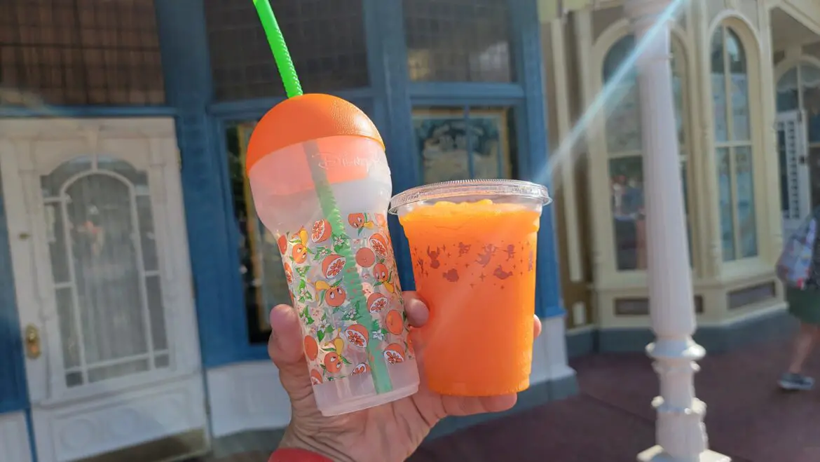 Super Cute Orange Bird Cup now available in the Magic Kingdom