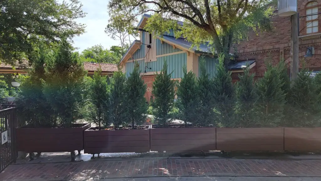 Bushes now hide Tron Lightcycle Run Construction in the Magic Kingdom